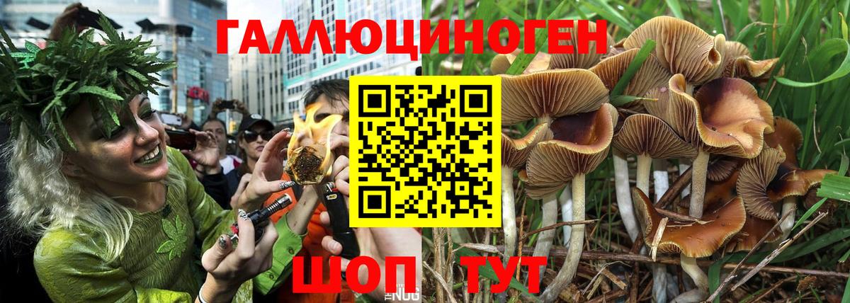 дарнет шоп  Вход с VPN  Галлюциногенные грибы MAGIC MUSHROOMS  Рубцовск  Псилоцибиновые грибы мицелий 